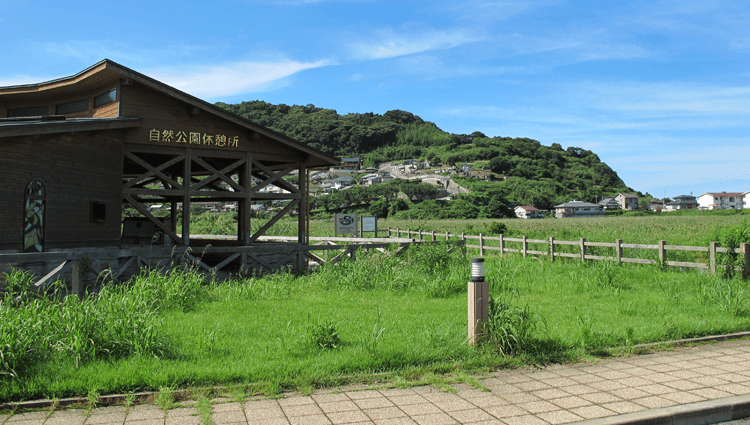 黒崎永田湿地自然公園